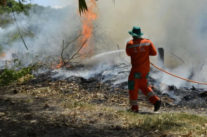 lei-do-manejo-integrado-do-fogo-ajuda-no-combate-a-incendios lei-do-manejo-integrado-do-fogo-ajuda-no-combate-a-incendios