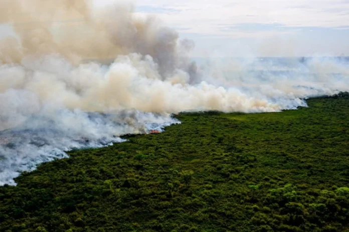 estados-da-amazonia-e-do-pantanal-batem-recorde-de-emissoes-de-carbono-por-incendios