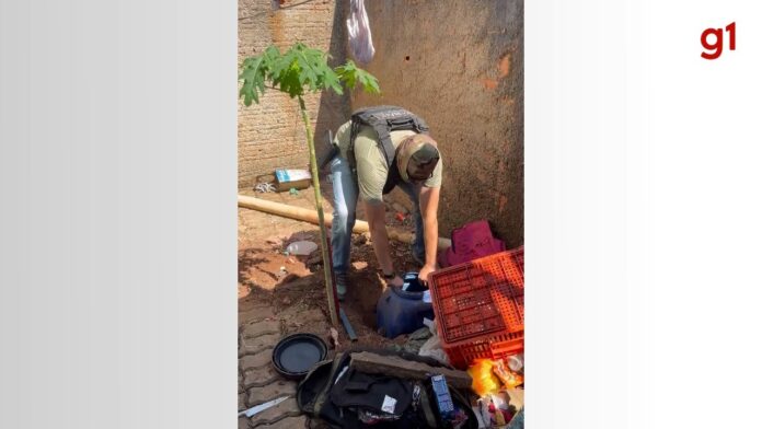 policia-encontra-10kg-de-drogas-enterradas-em-quintal-de-casa-e-jovem-e-preso