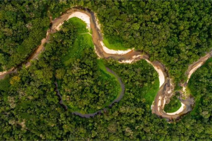 estudo-mostra-que-pelo-menos-12-grandes-rios-brasileiros-estao-secando estudo-mostra-que-pelo-menos-12-grandes-rios-brasileiros-estao-secando