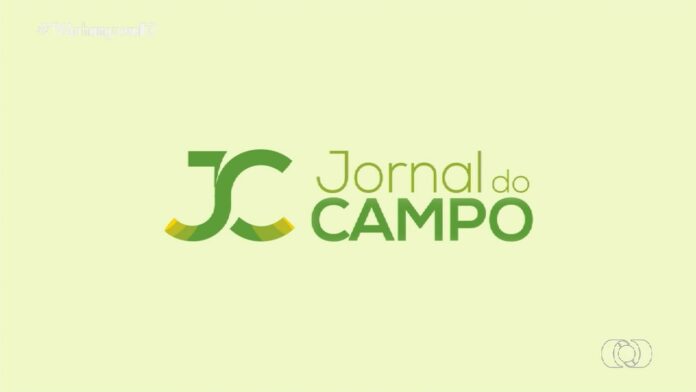 videos:-jornal-do-campo-–-to-de-domingo,-15-de-setembro-de-2024