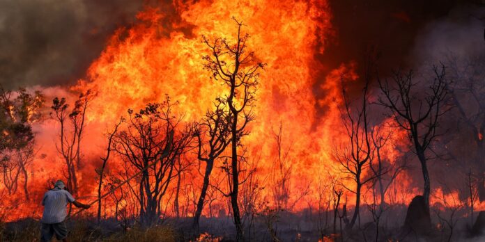 incendio-de-grandes-proporcoes-atinge-parque-nacional-de-brasilia incendio-de-grandes-proporcoes-atinge-parque-nacional-de-brasilia