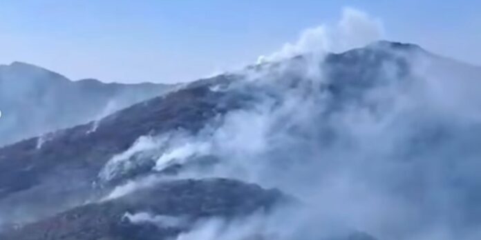 governo-investiga-mais-de-20-pessoas-por-incendios-florestais-no-rio