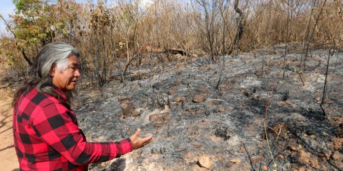 indigenas-sofrem-com-incendio-em-area-proxima-a-parque-de-brasilia