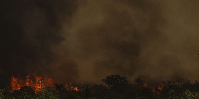 chuva-ajuda-a-apagar-incendio-no-parque-da-serra-dos-orgaos,-no-rio