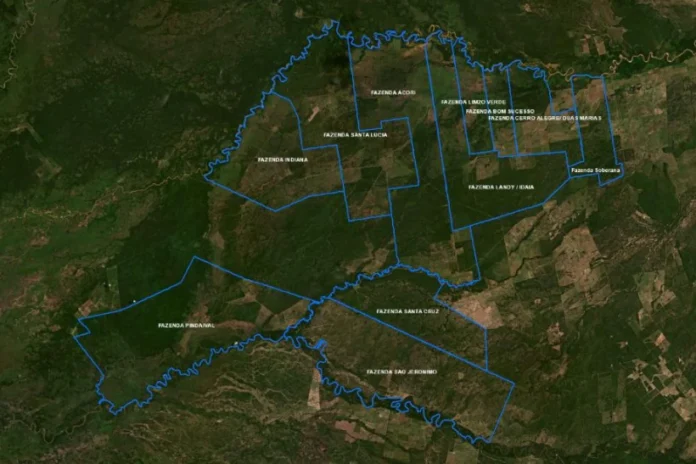 relatorio:-maior-desmatador-do-pantanal-forneceu-aos-principais-frigorificos-do-brasil