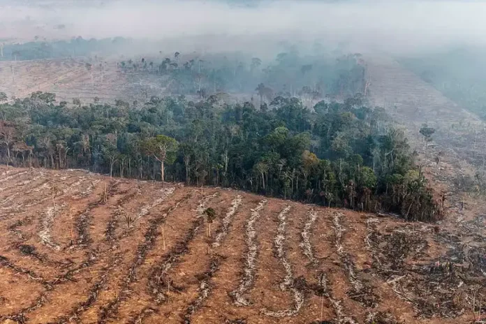 brasil-em-chamas-2:-emissoes-por-queimadas-crescem-60%-na-amazonia brasil-em-chamas-2:-emissoes-por-queimadas-crescem-60%-na-amazonia