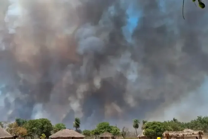 brasil-em-chamas-2:-ti-kayapo-tem-quase-20%-de-sua-area-tomada-pelo-fogo brasil-em-chamas-2:-ti-kayapo-tem-quase-20%-de-sua-area-tomada-pelo-fogo