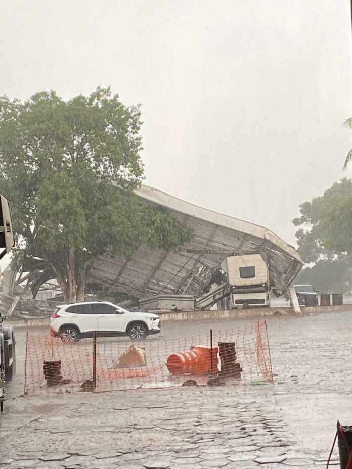 comerciante-escapa-segundos-antes-de-food-truck-ser-atingido-por-arvore-durante-temporal: