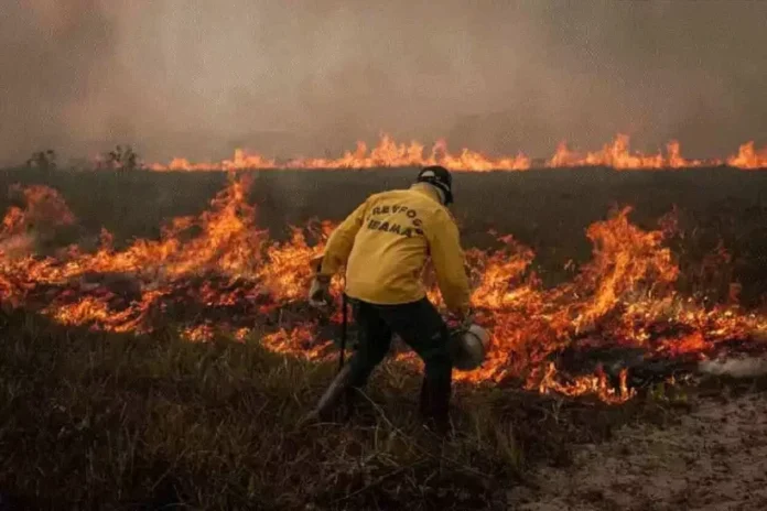 governo-propoe-prisao-de-ate-18-anos-para-quem-causar-incendios-florestais