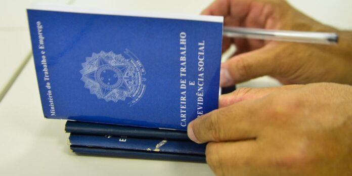ibge:-desemprego-cai-para-6,6%-no-trimestre-encerrado-em-agosto ibge:-desemprego-cai-para-6,6%-no-trimestre-encerrado-em-agosto