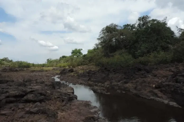 seca-extrema:-rio-xingu-entra-em-situacao-hidrica-critica