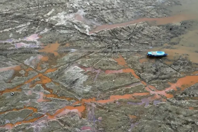 lagos-amazonicos-onde-mais-de-300-botos-morreram-em-2023-estao-ainda-mais-quentes-neste-ano lagos-amazonicos-onde-mais-de-300-botos-morreram-em-2023-estao-ainda-mais-quentes-neste-ano
