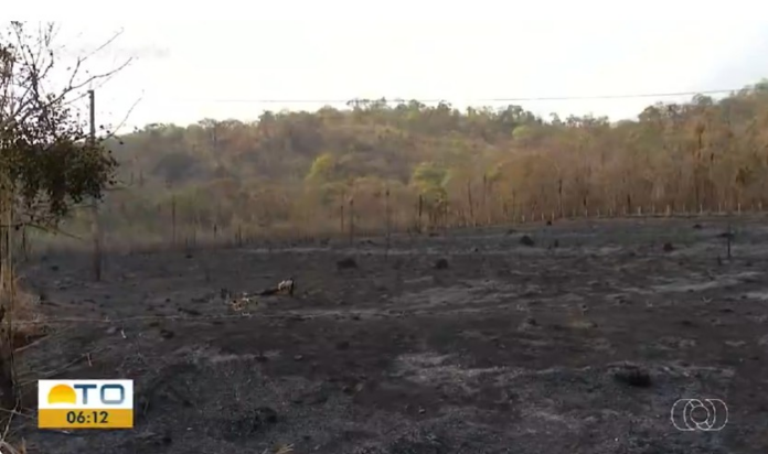 incendio-provoca-destruicao-e-deixa-prejuizos-em-plantacoes: