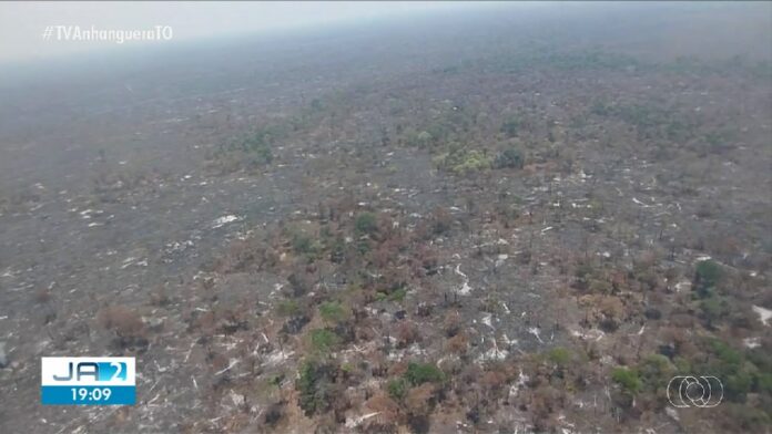 combate-a-incendios-e-encerrado-na-mata-do-mamao: