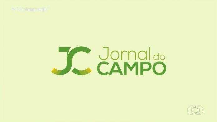 videos:-jornal-do-campo-–-to-de-domingo,-10-de-novembro-de-2024