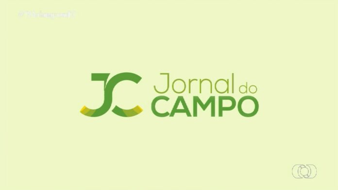videos:-jornal-do-campo-–-to-de-domingo,-17-de-novembro-de-2024