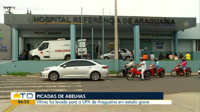 videos:-bom-dia-tocantins-de-terca-feira,-3-de-dezembro-de-2024