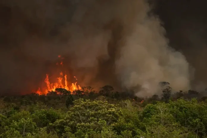 incendios-na-amazonia-e-pantanal-puxam-recorde-de-emissoes-de-carbono-em-2024 incendios-na-amazonia-e-pantanal-puxam-recorde-de-emissoes-de-carbono-em-2024