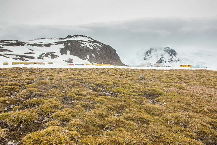 terras-aridas-agora-cobrem-40%-do-solos-do-planeta,-excluindo-a-antartica