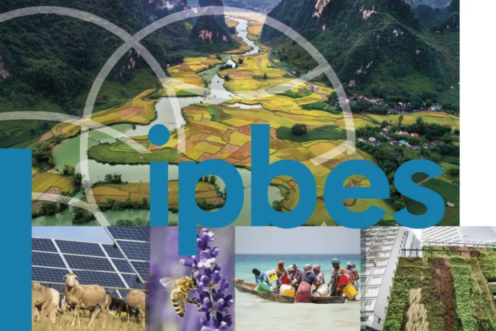 mudancas-climaticas-levarao-a-perda-irreversivel-da-biodiversidade,-aponta-ipbes