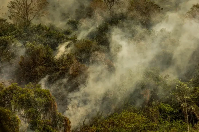 governo-federal-da-a-partida-a-estrategias-de-combate-ao-desmatamento-no-pantanal-e-na-caatinga