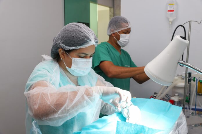 castracao-gratuita-de-caes-e-gatos-abre-agendamento-em-palmas-nesta-quinta-feira;-confira castracao-gratuita-de-caes-e-gatos-abre-agendamento-em-palmas-nesta-quinta-feira;-confira