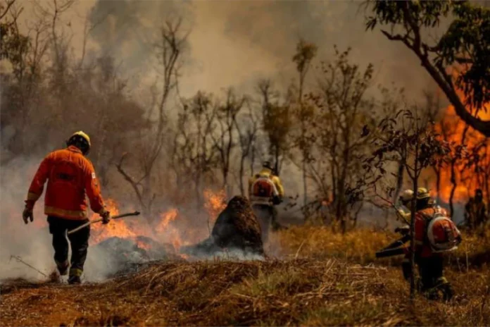 incendios-no-brasil-destruiram-area-maior-que-a-italia-em-2024