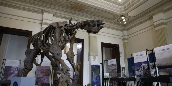 museu-de-ciencias-da-terra-sera-revitalizado-no-rio