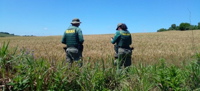 concursos-e-selecoes-oferecem-salarios-de-ate-r$-13,9-mil-no-tocantins;-confira concursos-e-selecoes-oferecem-salarios-de-ate-r$-13,9-mil-no-tocantins;-confira