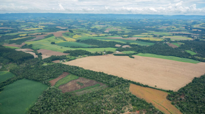 mata-atlantica-perde-200-mil-campos-de-futebol-de-vegetacao-em-10-anos