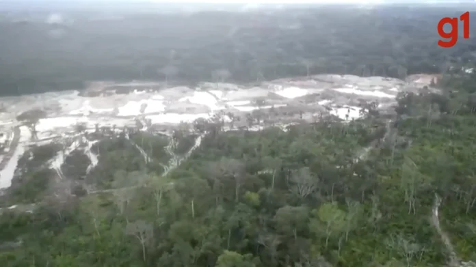 area-vira-“pantano”-apos-devastacao-do-garimpo-na-terra-sarare 