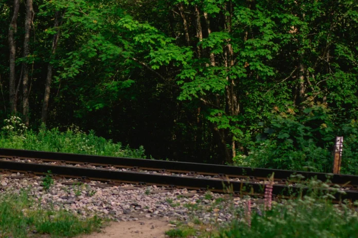 pesquisadores-apontam-falhas-em-novos-estudos-sobre-a-ferrograo