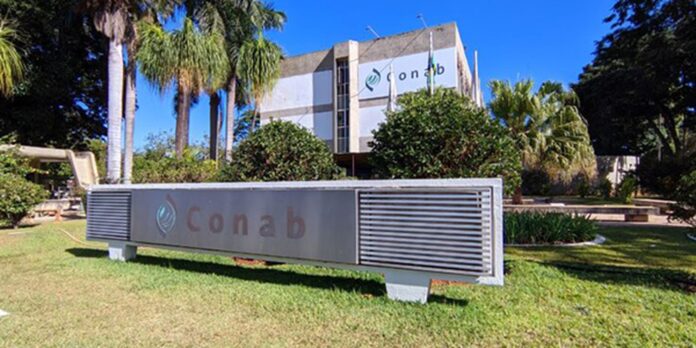 conab-publica-edital-de-concurso-publico-nacional-com-403-vagas conab-publica-edital-de-concurso-publico-nacional-com-403-vagas