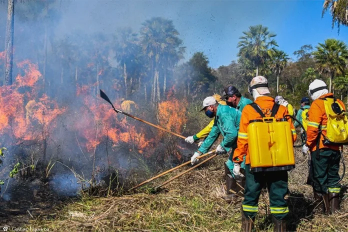 governo-do-ms-vai-investir-r$-1,4-bi-ate-2030-na-protecao-do-pantanal governo-do-ms-vai-investir-r$-1,4-bi-ate-2030-na-protecao-do-pantanal