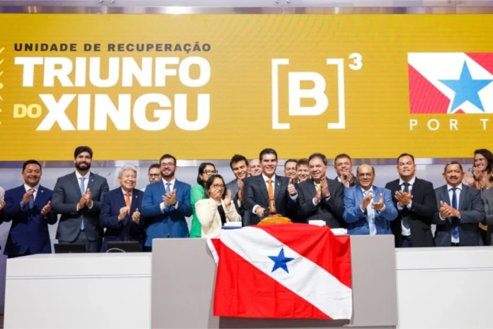 concessao-para-reflorestamento-da-amazonia-estreia-com-baixa-demanda
