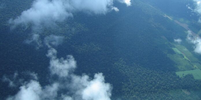 petrobras-comprara-r$-450-milhoes-em-creditos-de-carbono-na-amazonia