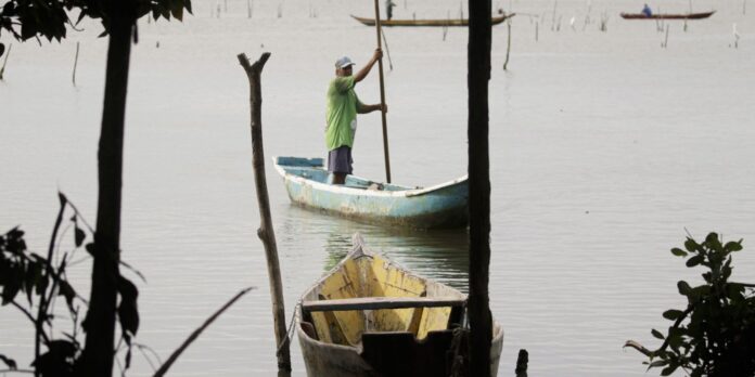 negligencia-do-estado-afeta-3,2-mil-familias-de-pescadores-artesanais