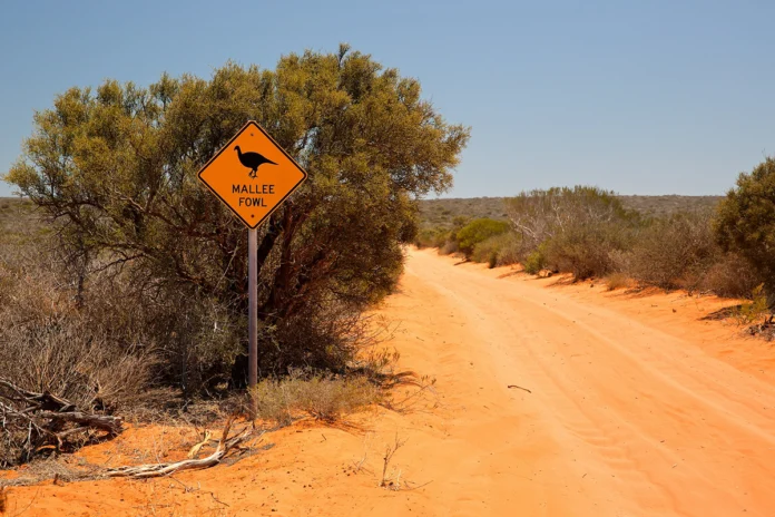 inundacoes-atingem-outback-australiano-apos-maiores-chuvas-em-50-anos