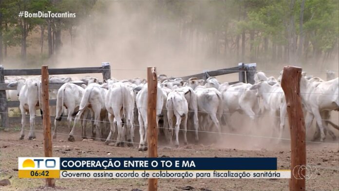 videos:-bom-dia-tocantins-de-quinta-feira,-3-de-abril-de-2025