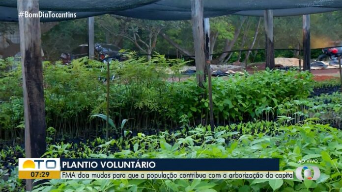 videos:-bom-dia-tocantins-de-sexta-feira,-4-de-abril-de-2025