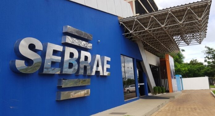 sebrae-abre-selecao-para-contratar-analista-tecnico-com-salario-de-r$-5,2-mil