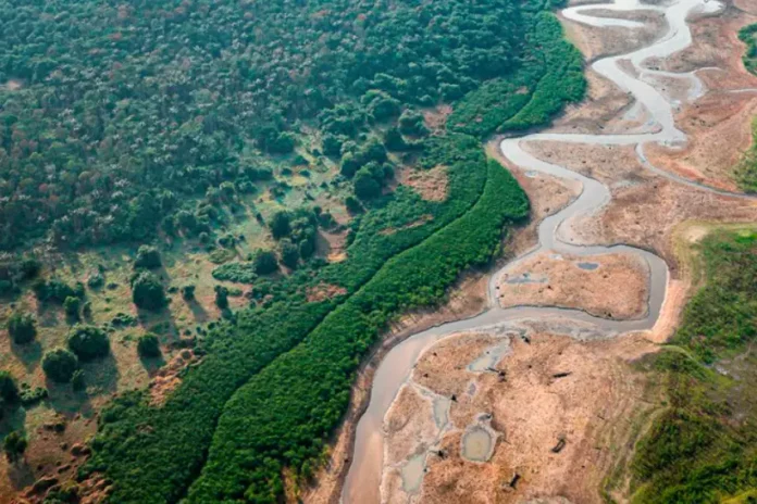 emenda-a-lei-florestal-do-peru-pode-acelerar-desmatamento-da-amazonia