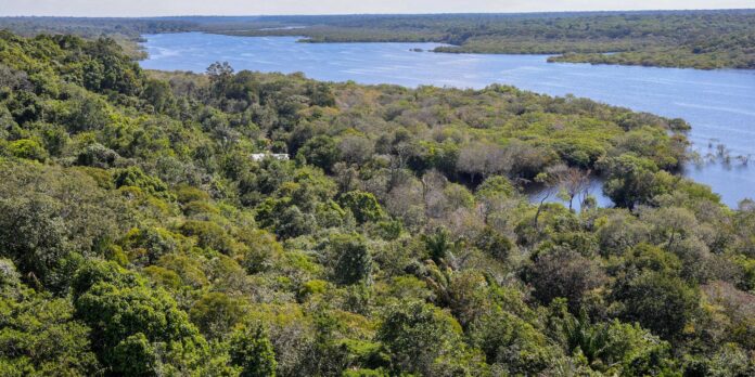 corpo-de-piloto-desaparecido-na-amazonia-e-encontrado