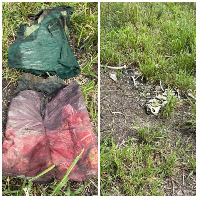 ossada-humana-e-encontrada-em-fazenda-na-zona-rural-de-colinas-do-tocantins