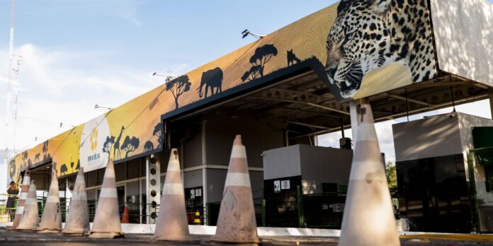 caso-de-gripe-aviaria-e-confirmado-no-zoologico-de-brasilia