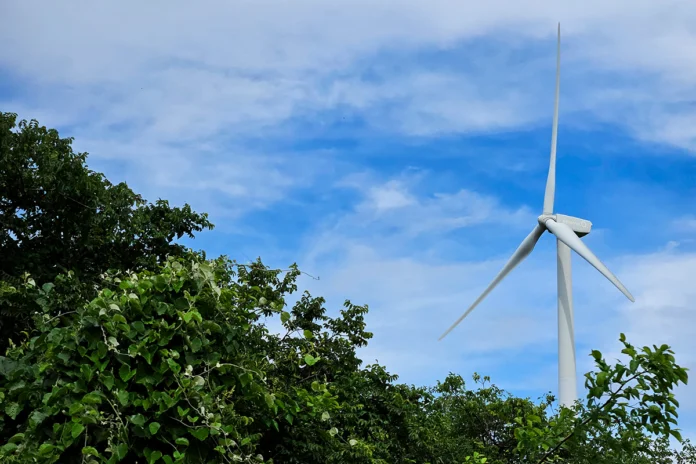 usinas-eolicas-e-solares-geram-impactos-socioambientais-na-bahia