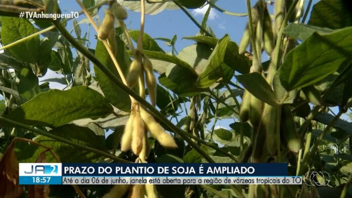 videos:-jornal-anhanguera-2a-edicao-–-to-de-sexta-feira,-30-de-maio-de-2025
