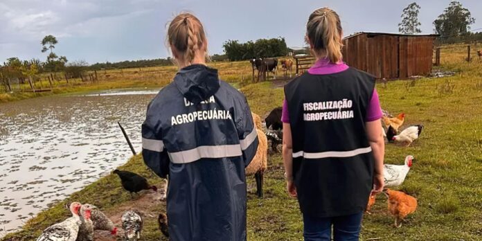 sao-paulo-registra-primeiro-caso-de gripe aviaria-em-2025