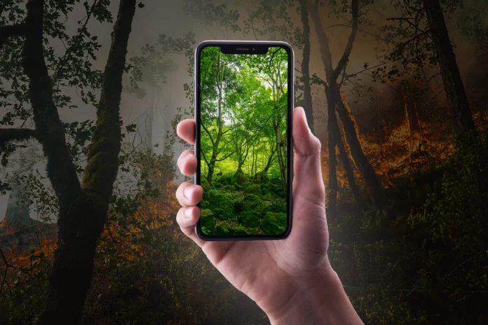 o-alto-risco-da-desinformacao-climatica-e-o-papel-dos-influenciadores-digitais